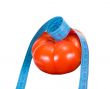 tomato and tape measure