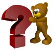 question teddy