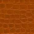 Brown crocodile leather texture 