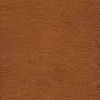 leather texture. 