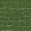 Green crocodile leather texture 