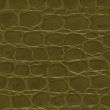 Green crocodile leather texture 