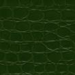 Green crocodile leather texture 
