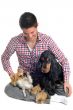 cocker, chihuahua and man