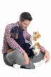 cocker, chihuahua and man