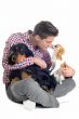 english cocker, chihuahua and man