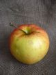 very nice and ripe apple on the table