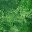 marble texture background - High resolution