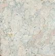 Light marble texture 