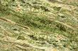 marble texture background - High resolution