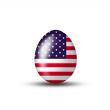 American egg