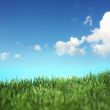 beautiful landscape