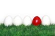 A red egg in between the white