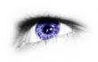 eye isolated