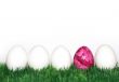 A pink egg between the white