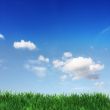 green field and blue sky