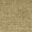 Fabric Texture