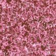 marble texture background - High resolution