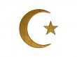 3d golden turkey flag