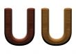 one letter of wooden alphabet.