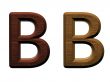 one letter of wooden alphabet.