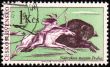 Injun buffalo hunting on post stamp
