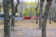 Autumn in the Park