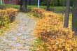 Autumn in the Park