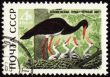 Black stork on post stamp