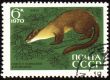 Pine marten on post stamp