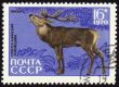 Siberian stag on post stamp