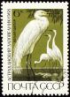 Egret on post stamp