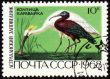 Spoonbill and ibis on post stamp
