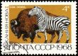 Zebra and bison on post stamp