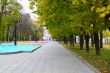 Autumn in the Park