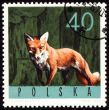 Red fox on post stamp