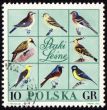 Forest birds on post stamp