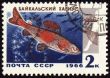 Baikal grayling on post stamp