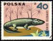 Dinosaur Ichthyostega on post stamp
