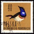 Bluethroat on post stamp