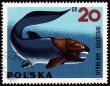 Prehistoric fish Dinichthys on post stamp