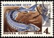 Baikal sturgeon on post stamp