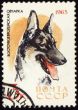 Alsatian dog on post stamp