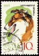 Colly on post stamp
