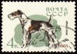 Fox terrier on post stamp
