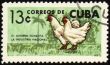 Rooster and hen on post stamp