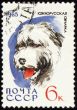 South Russian Shepherd Dog on post stamp