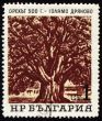 Old 500-years nut-tree in Golyamo-Dryanovo on post stamp