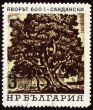Old 600-years tree in Sandanski on post stamp