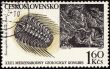 Mountains and fossil on post stamp